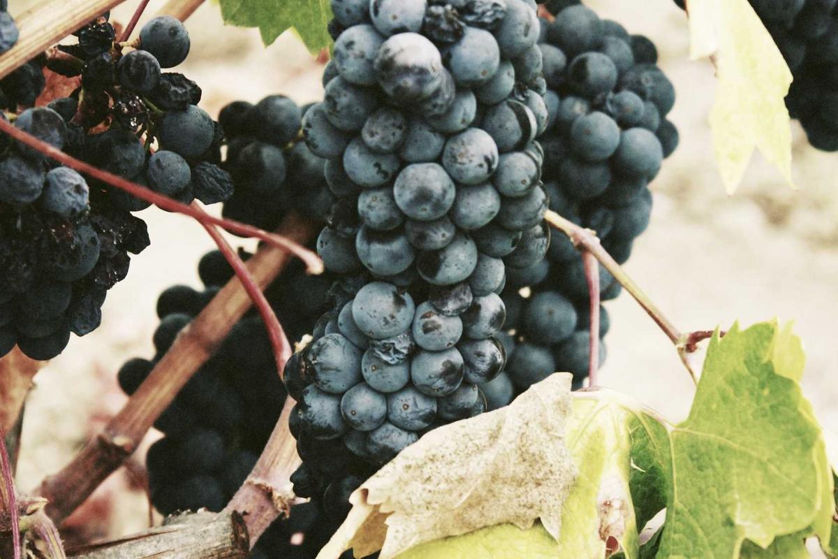 50 Caption Ramadhan 2026 Bahasa Inggris & Indonesia, Singkat, Puitis, dan Siap Viral – Serambinews.com