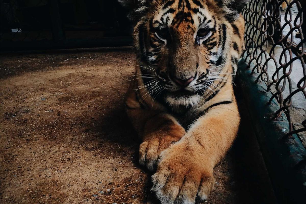 Pemerintah Indonesia buka akses impor pertanian AS senilai Rp 75,98 triliun – MSN