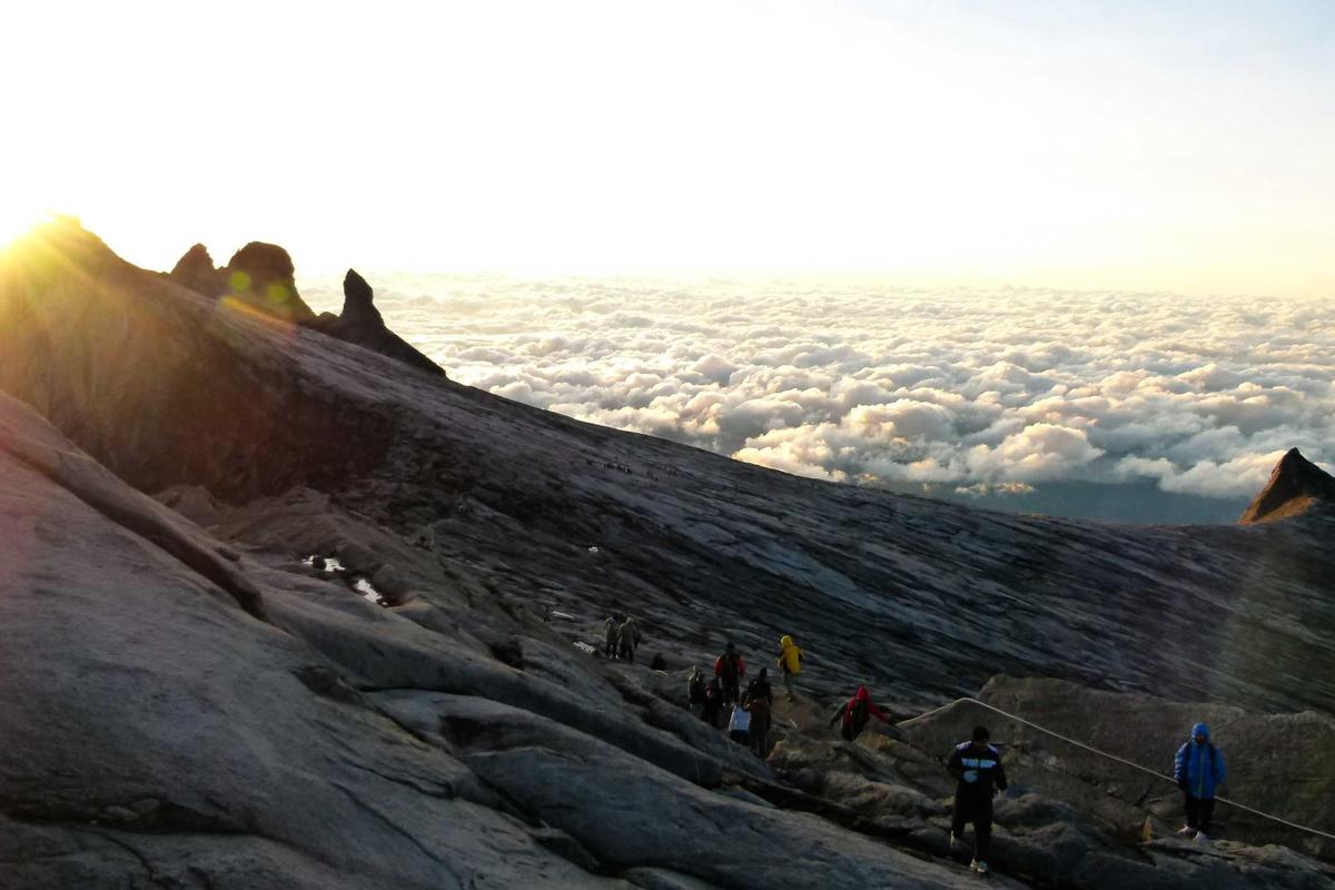 Viral di Indonesia, Meme Noriyuki Makihara Mirip Joko Widodo Masuk TV Jepang! – KAORI Nusantara