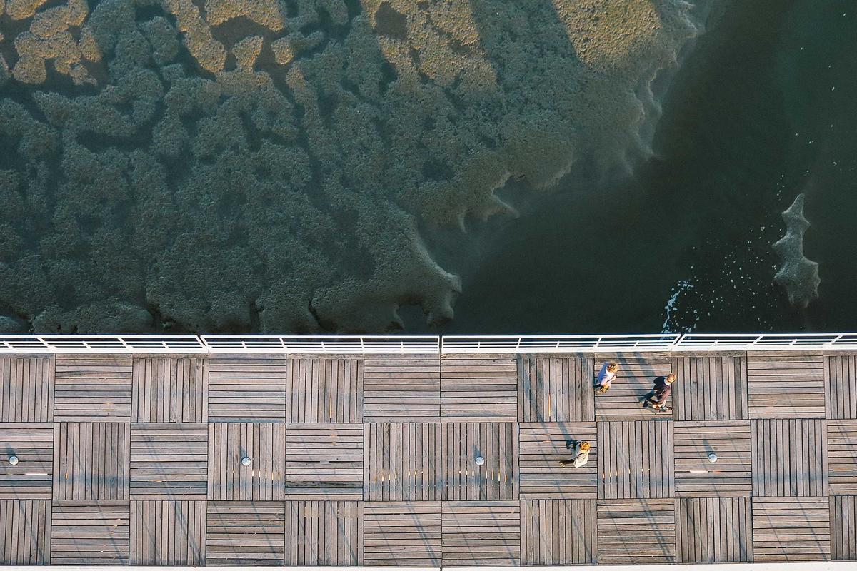 Hasil klasemen Piala AFF Futsal 2026 putri: Indonesia kedua, laga Malaysia penentu lolos semifinal – MSN