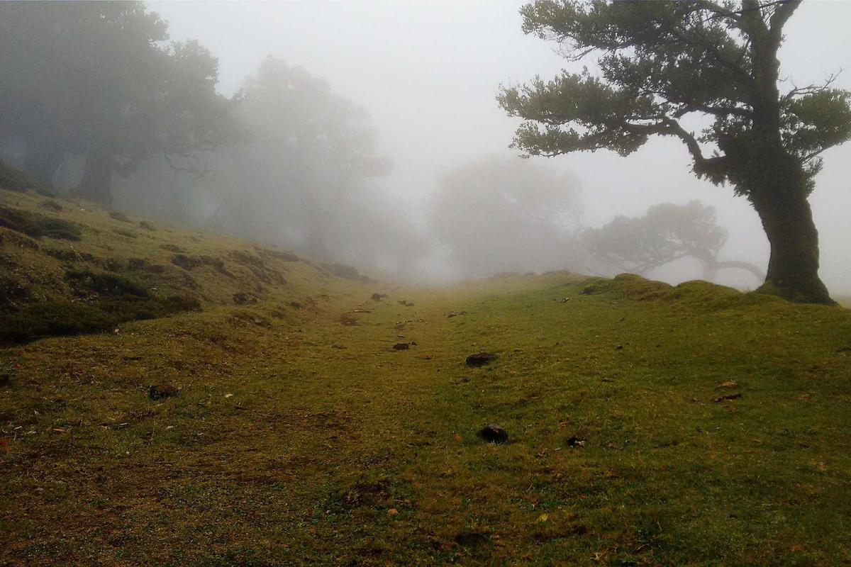 Penjelasan Tren Catatan Amal Buruk yang Viral di TikTok Indonesia – IDN Times
