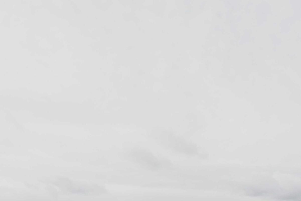 Cek Fakta: RI Keluarkan Rp16,7 T buat Pulihkan Hutan Brasil? – DW.com