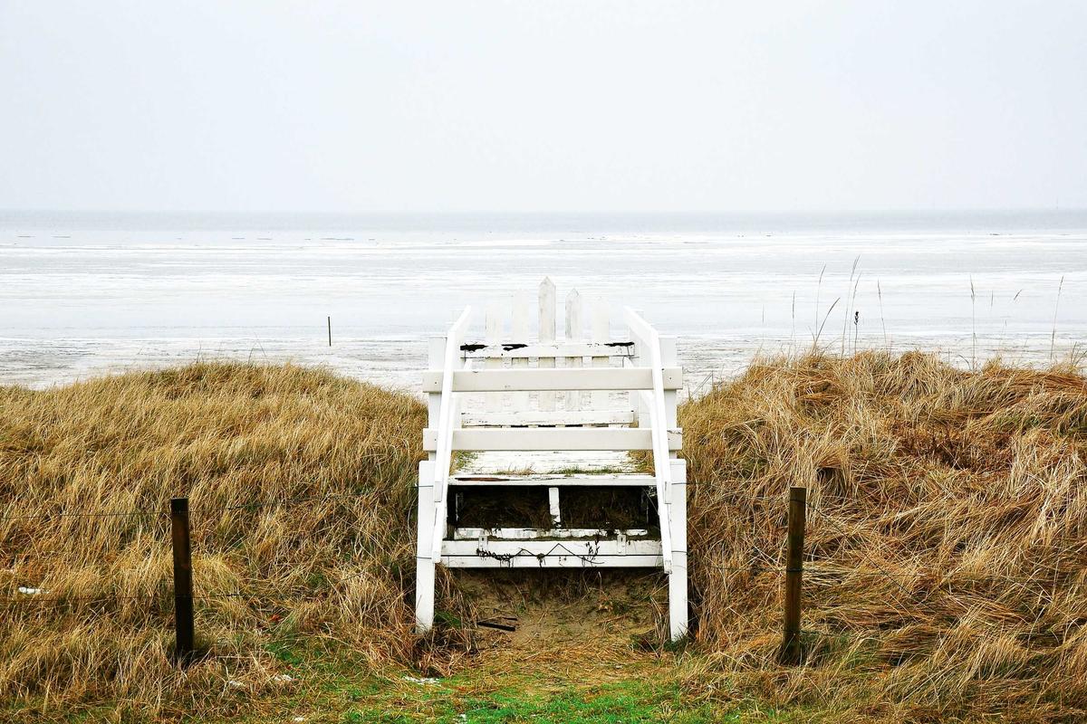 Raja Ampat: Kisah perempuan Papua di balik peristiwa viral Save Raja Ampat – BBC
