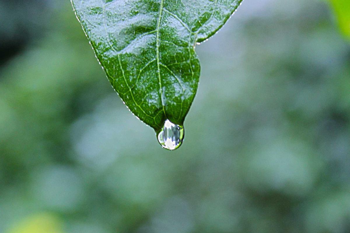 Viral! Pria Ngaku Aparat Todongkan Pistol ke Sopir Taksi Online, Korban Lapor Polisi – MPN Indonesia