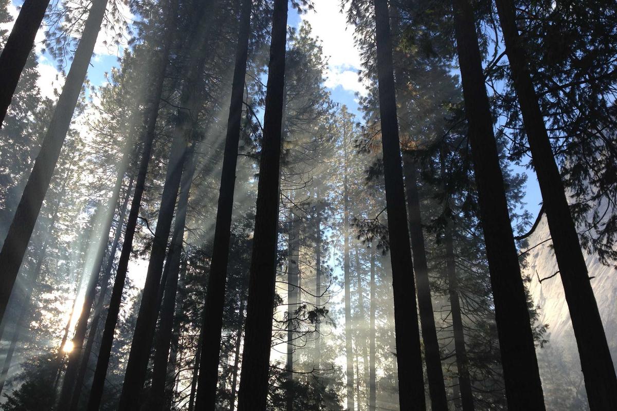 Bahaya “Decontextualization”, Belajar dari Pernyataan Menteri Agama yang Viral – Humas Indonesia