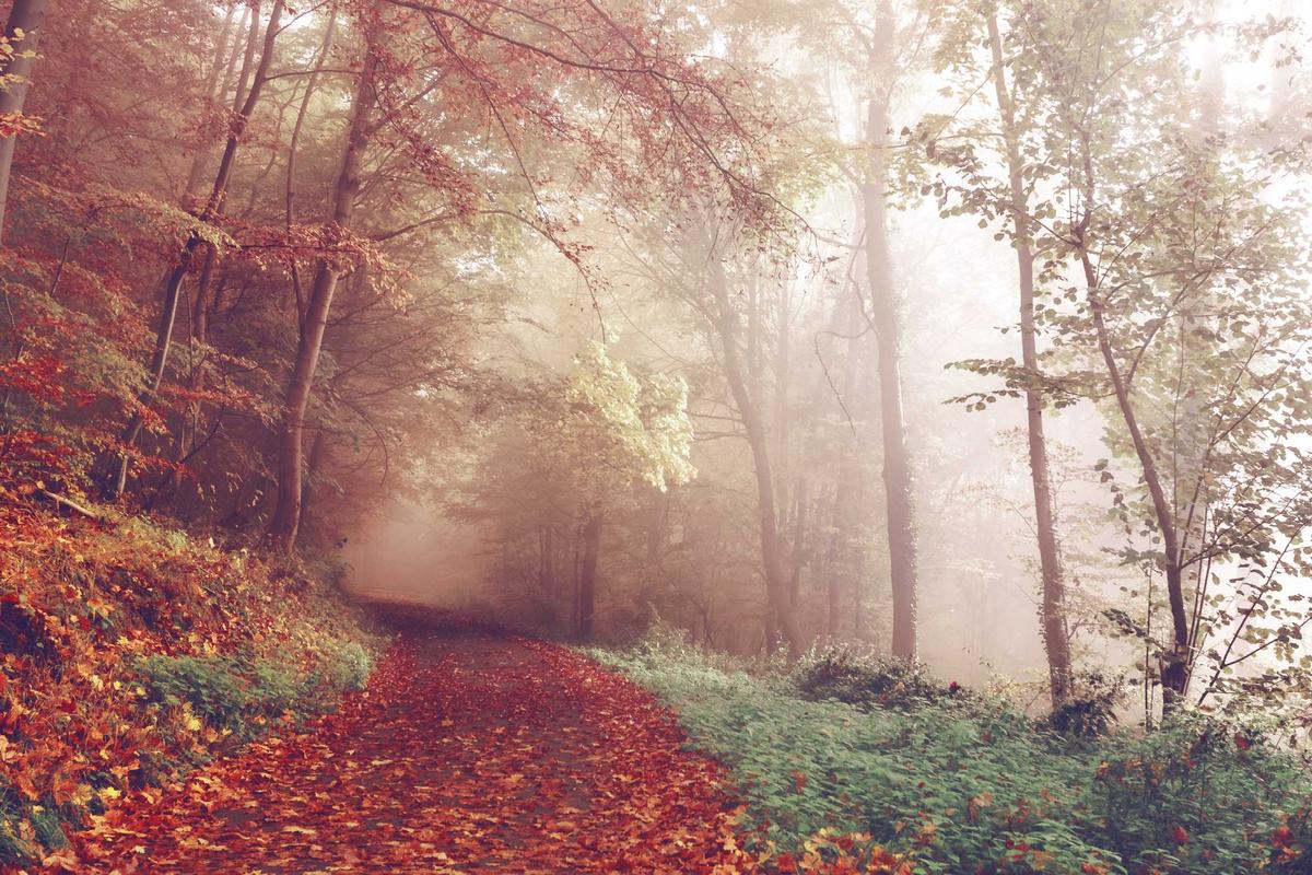 Video Viral Kluivert Tak Ikut Sapa Suporter Usai Irak vs Indonesia – 20detik