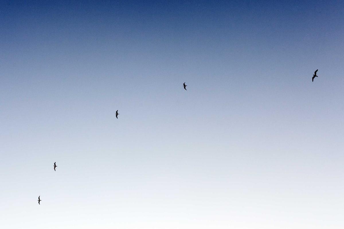 Viral Jepang Akan Blacklist Indonesia Buntut PMI Bermasalah, Begini Respons KBRI Tokyo – SINDOnews Nasional