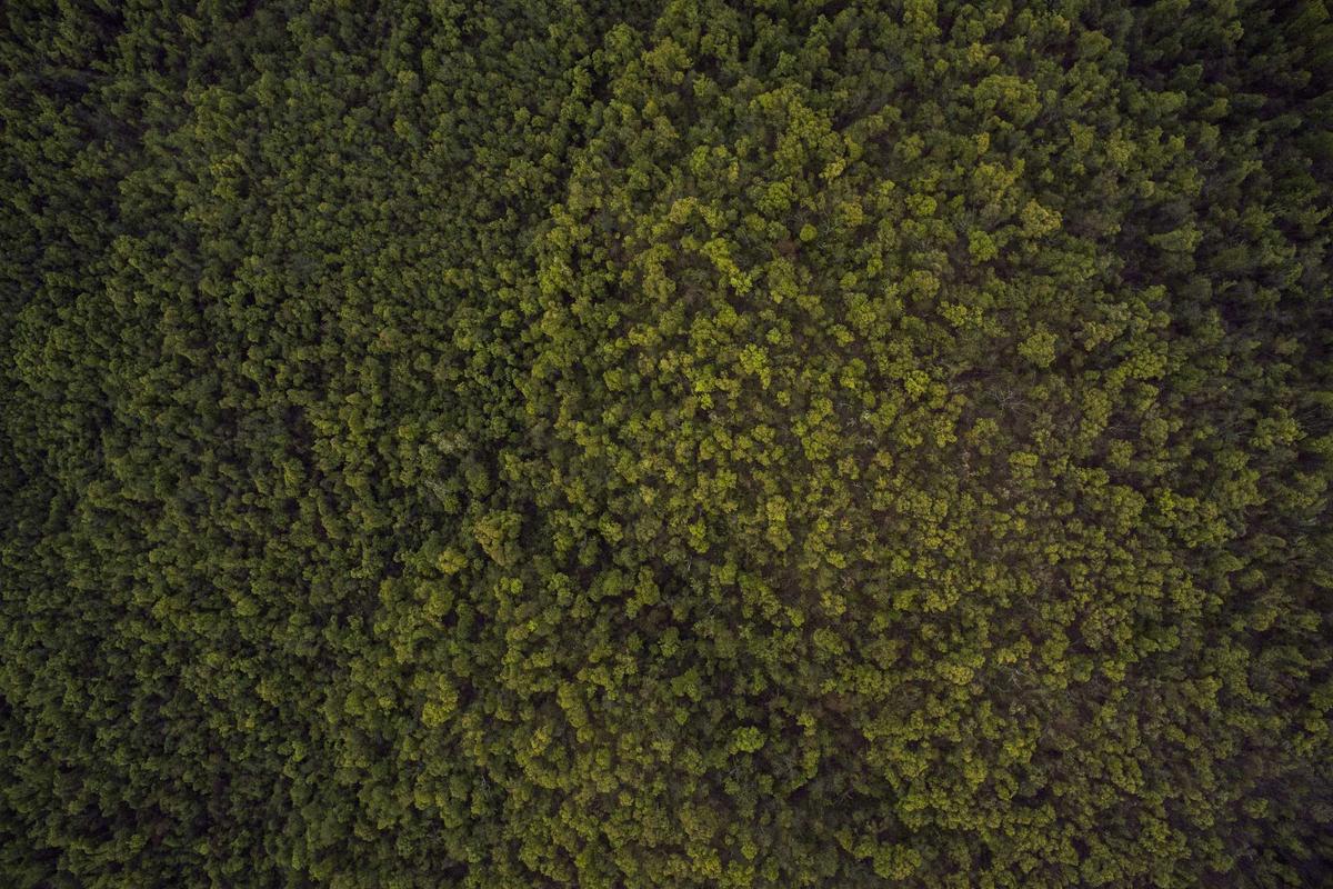 Viral! Wagub Surya Bakar Semangat Siswa SMKN 1 Portibi: “Anak Kampung Bisa Jadi Pemimpin Indonesia! – BonariNews