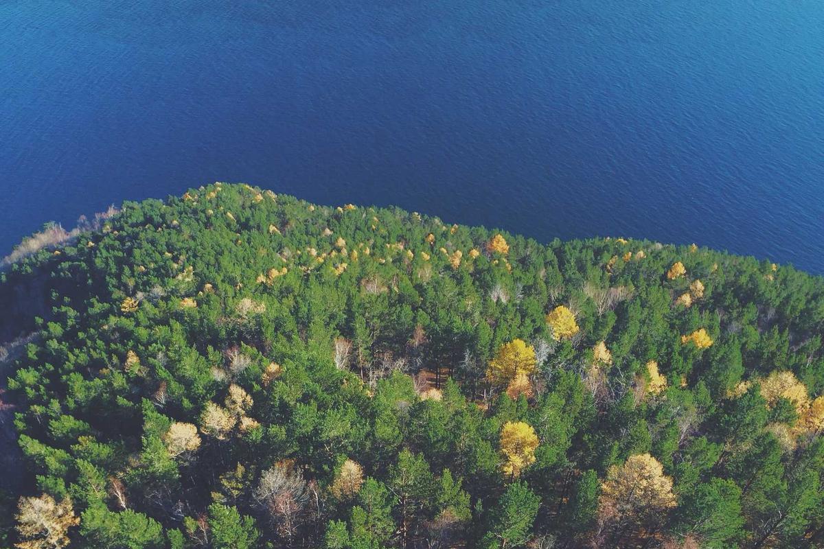 Viral Video Kuala Kencana yang Disebut Menjadi Kota Modern Pertama di Indonesia – Jawa Pos