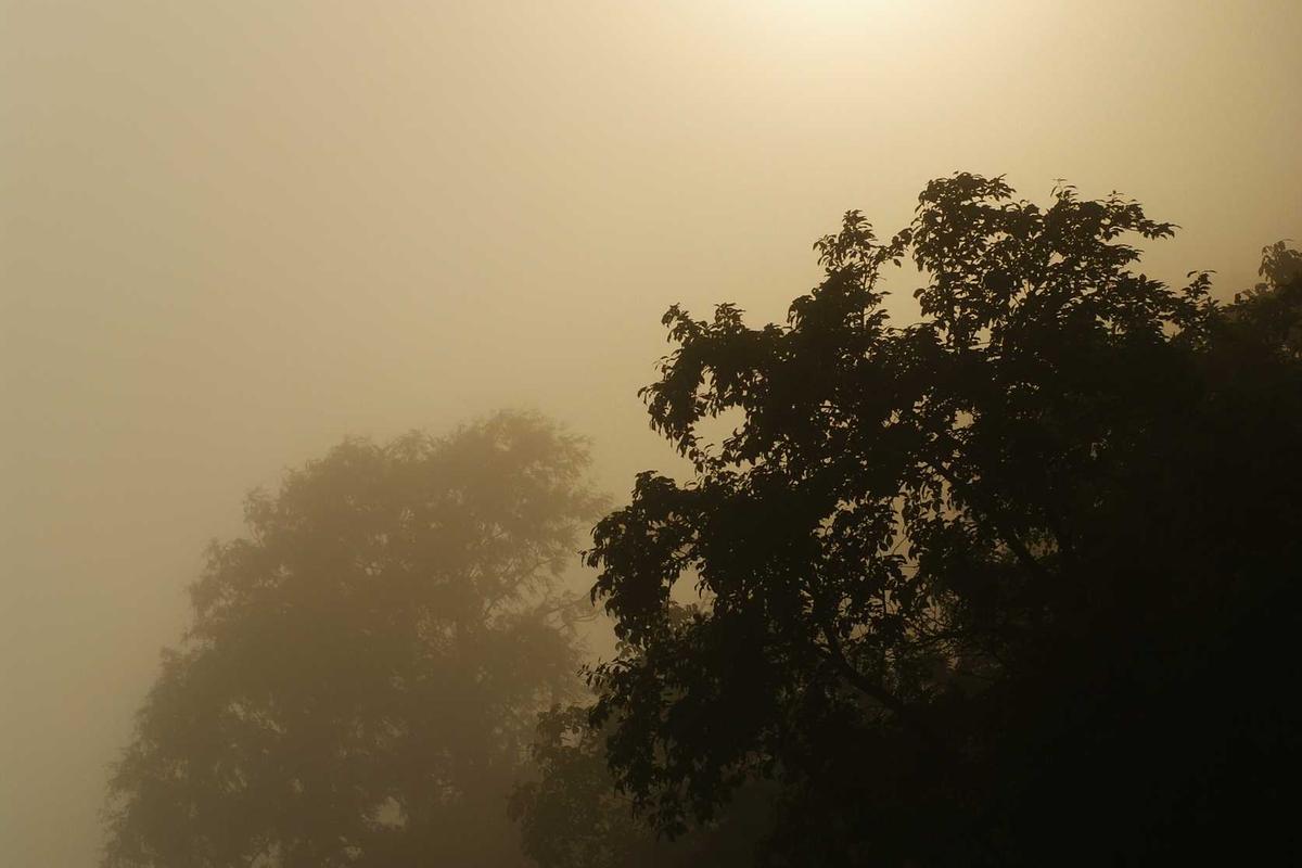 Comeback Elkan Baggott bikin kursi bek Timnas Indonesia makin panas – MSN