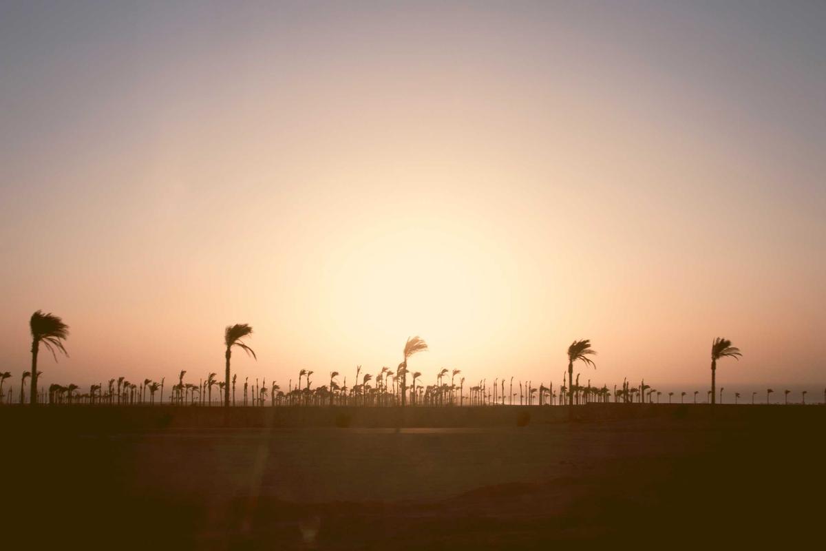 Link Video “Mukena Pink” Viral, Benarkah Ada Versi No Sensor? – netralnews.com