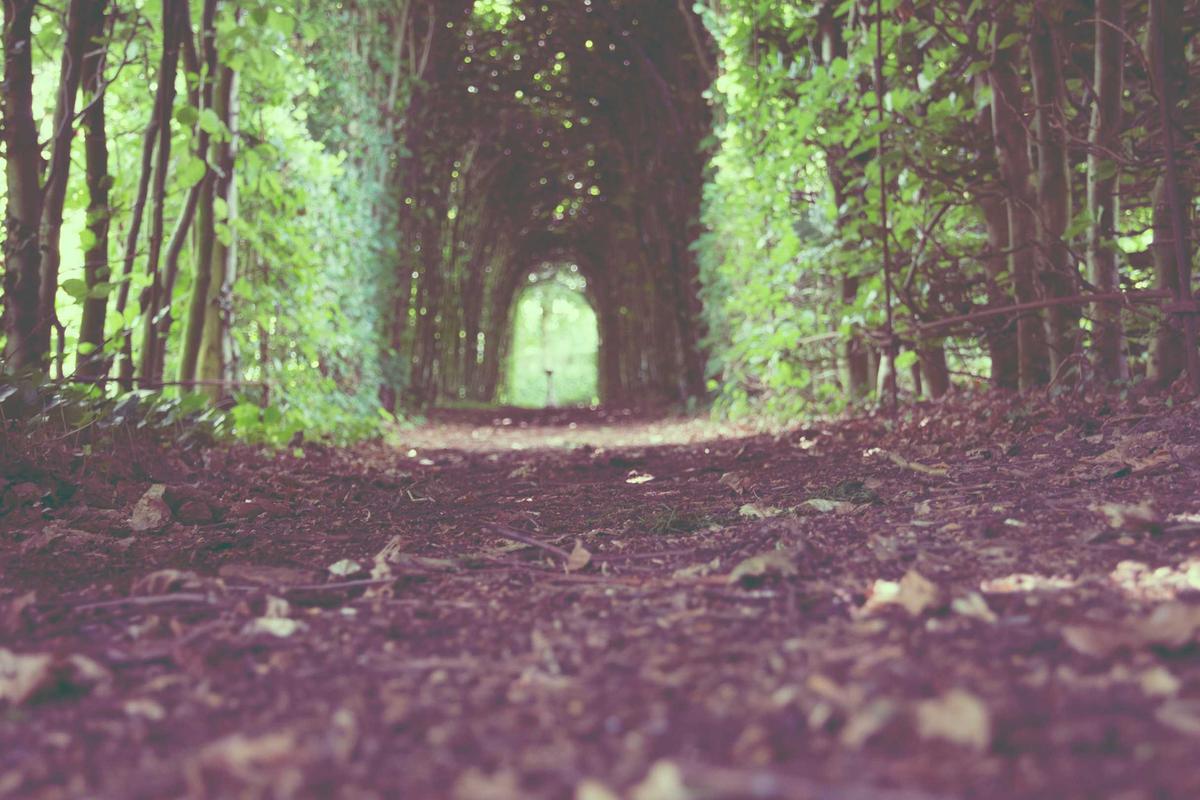 Viral ‘Rahim Copot’ di Medsos, Ini Kata Perkumpulan Dokter Kandungan – CNBC Indonesia