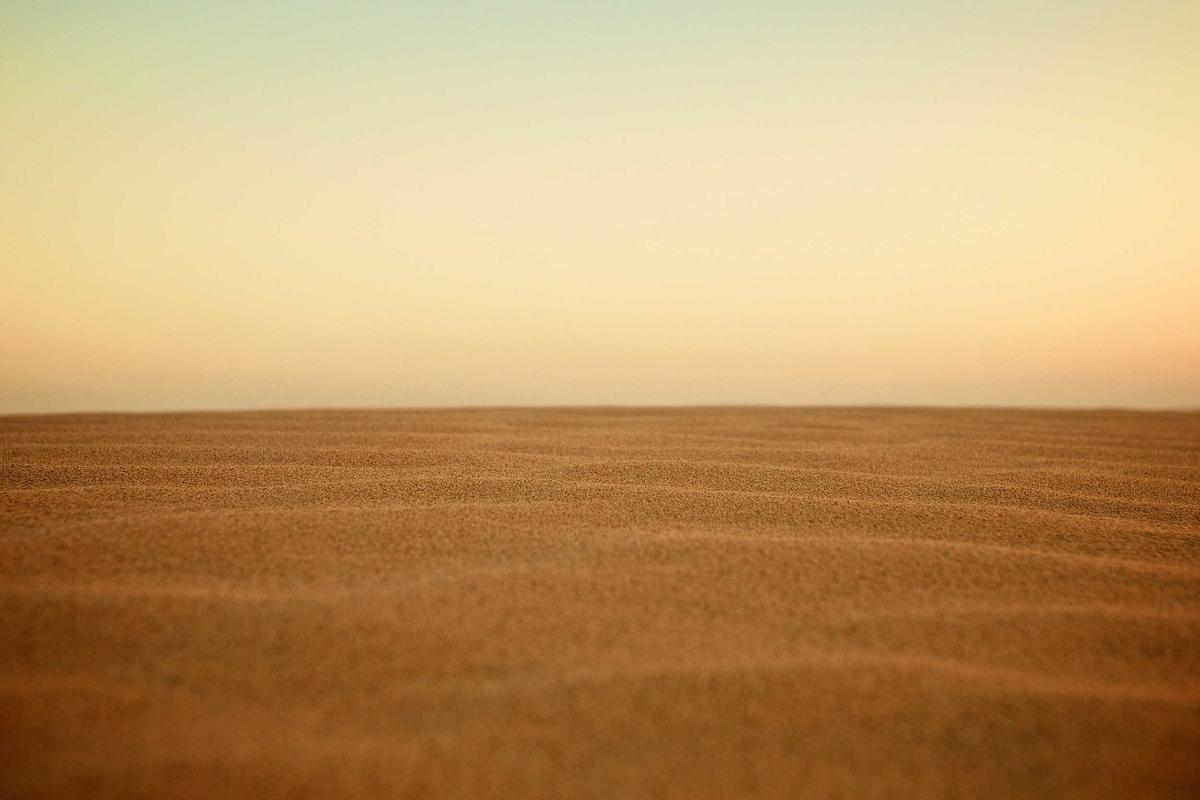 Viral Tiket Pesawat Jakarta-Palangkaraya Rp 202 Juta di Momen Mudik, Garuda Indonesia Buka Suara – Tribun Video