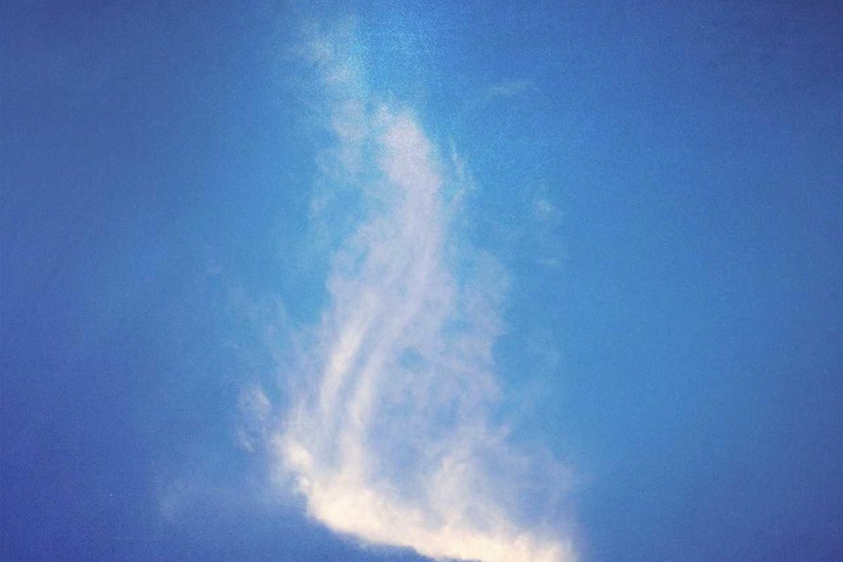 VIDEO – Viral! Finalis Putri Indonesia Riau 2024 Digerebek Bareng Suami Teman di Tempat Biliar – aceh.tribunnews.com