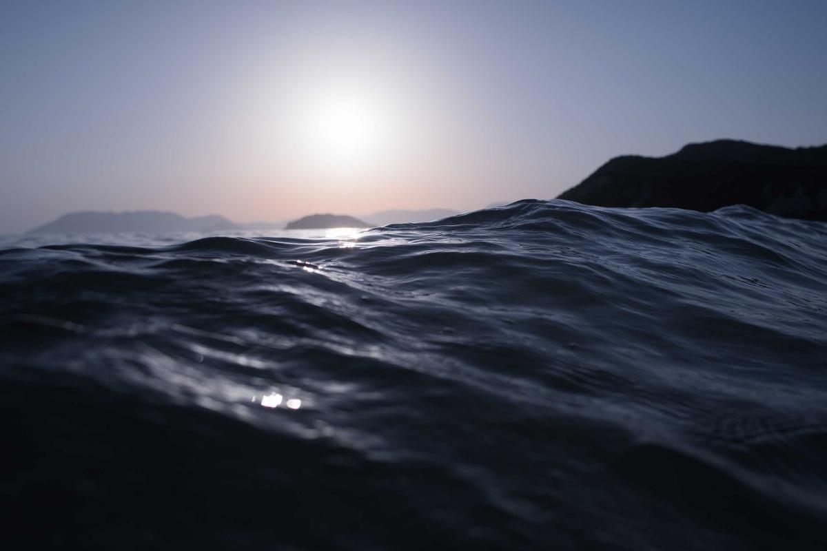 Diumumkan Lulus Lalu Dibatalkan, Surat Terbuka ke Rektor Universitas Indonesia Viral di Medsos – Gerbang Patriot