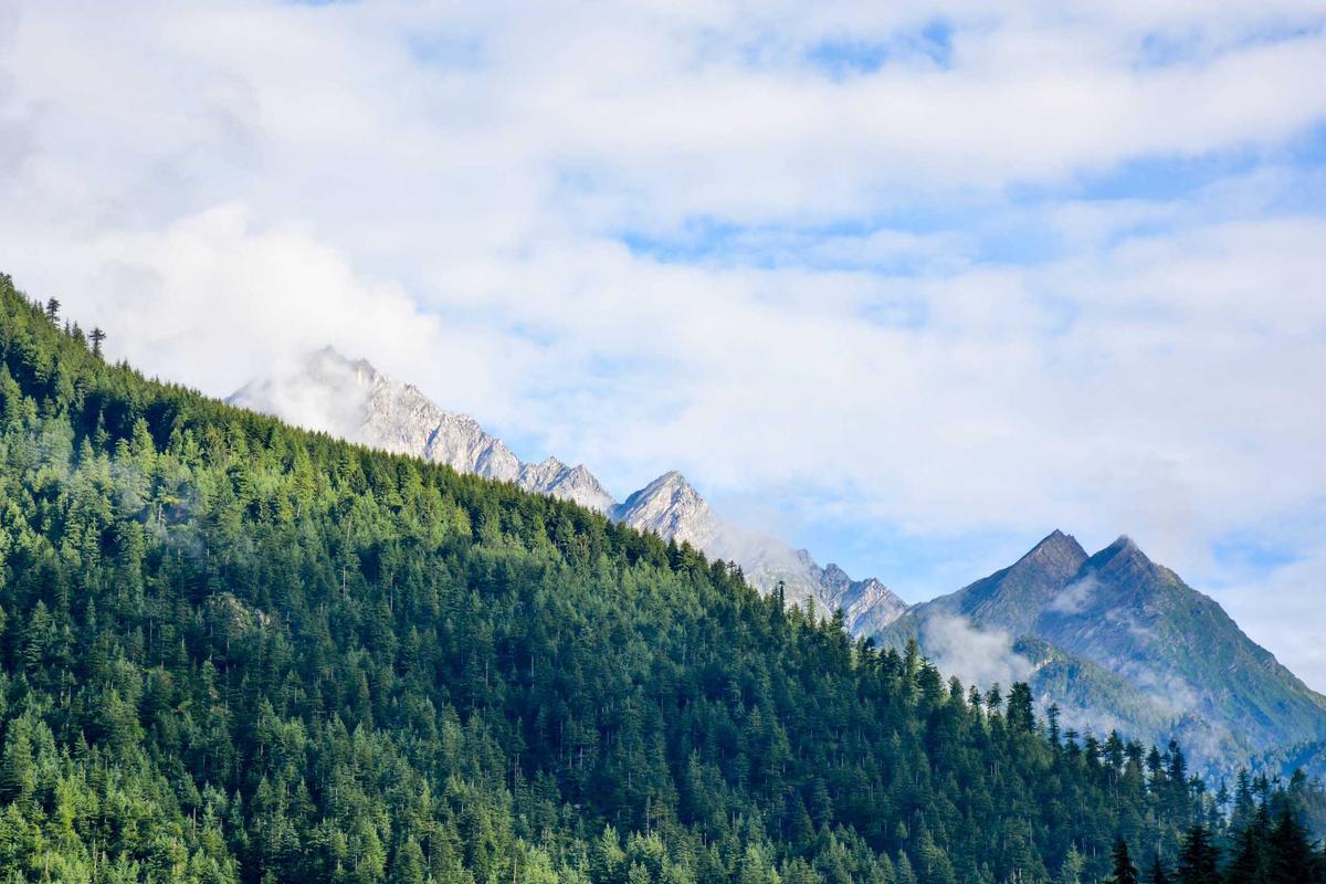 Tren Kuliner Viral dan Media Sosial Dorong Pertumbuhan Industri F&B Indonesia – Marketeers