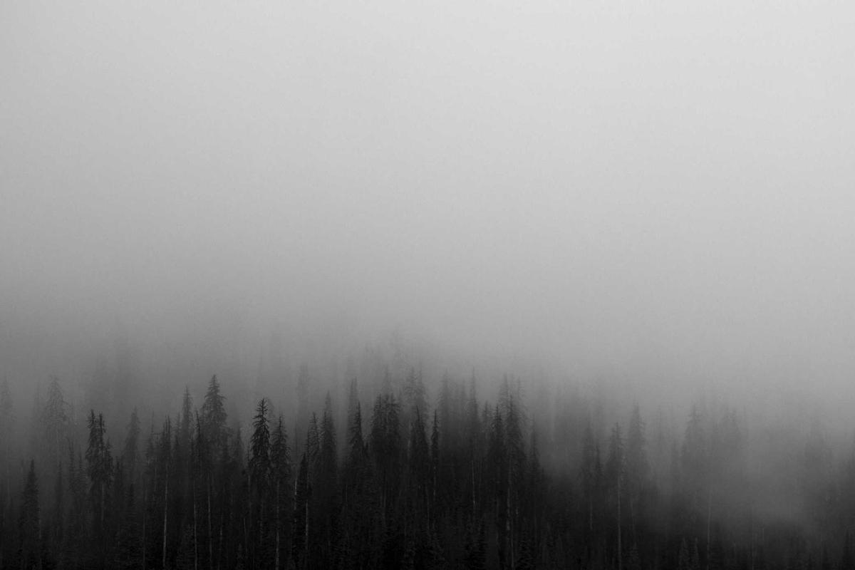 Tren Kuliner Viral dan Media Sosial Dorong Pertumbuhan Industri F&B Indonesia – Marketeers