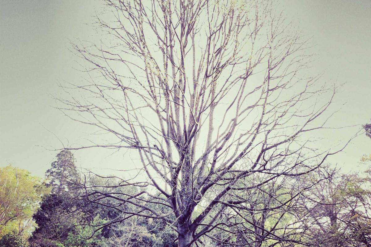 Tren Kuliner Viral dan Media Sosial Dorong Pertumbuhan Industri F&B Indonesia – Marketeers