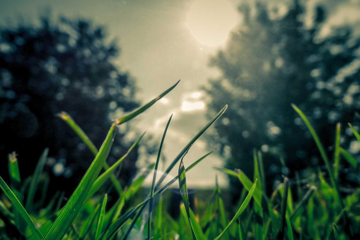 Tren Kuliner Viral dan Media Sosial Dorong Pertumbuhan Industri F&B Indonesia – Marketeers