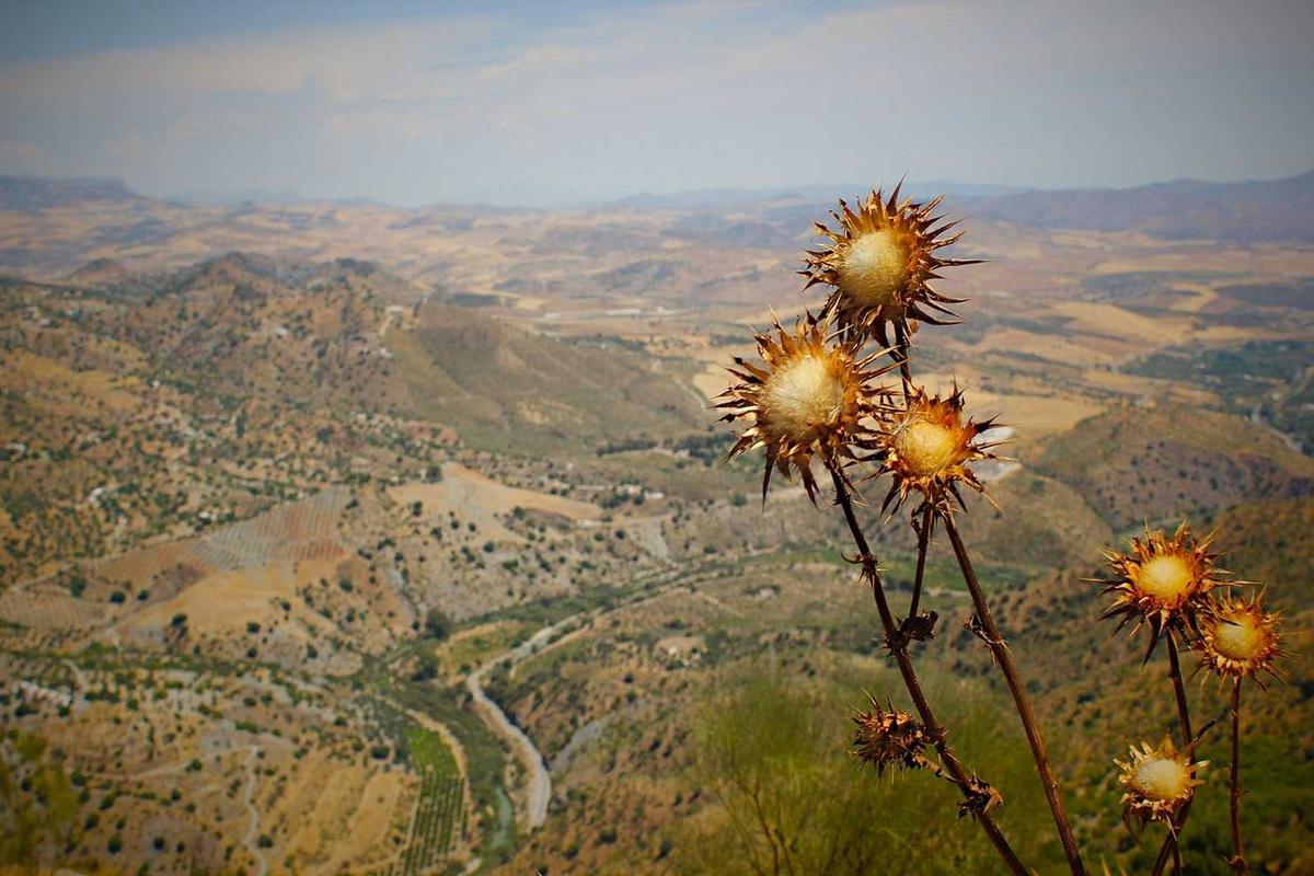 Banjir Sumatra: Pemerintah tolak bantuan asing, pemulihan wilayah terdampak diprediksi butuh 30 tahun – BBC