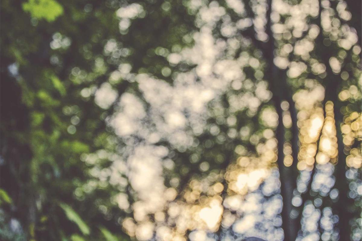 Tren Kuliner Viral dan Media Sosial Dorong Pertumbuhan Industri F&B Indonesia – Marketeers